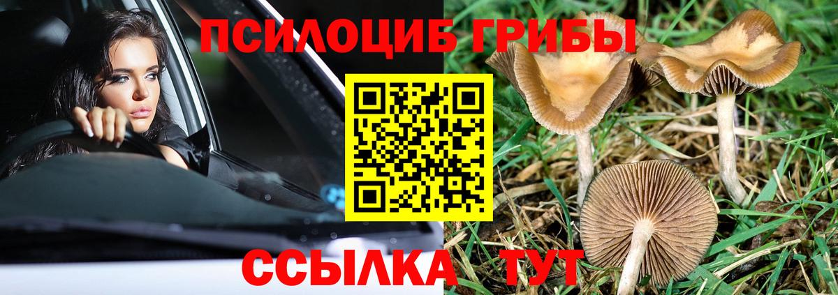 Псилоцибиновые грибы мухоморы Гусев