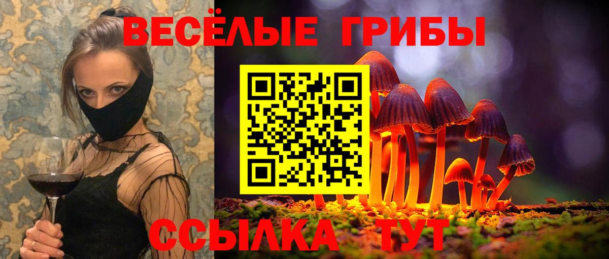 Псилоцибиновые грибы MAGIC MUSHROOMS  Псилоцибиновые грибы прущие грибы  Вход с VPN  Гусев 